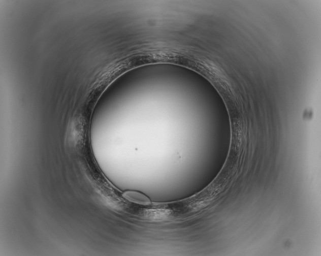 X0000096130266200801251024