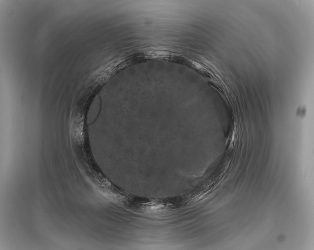 X0000096130267200801251024