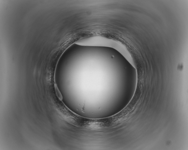 X0000096130268200801251024
