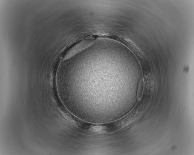 X0000096130269200801251024