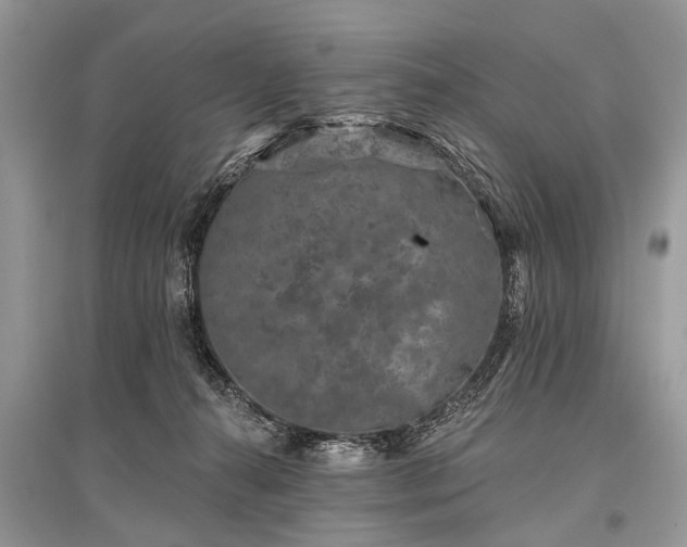 X0000096130272200801251024