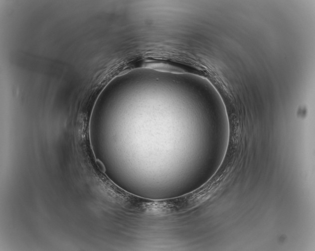 X0000096130273200801251024