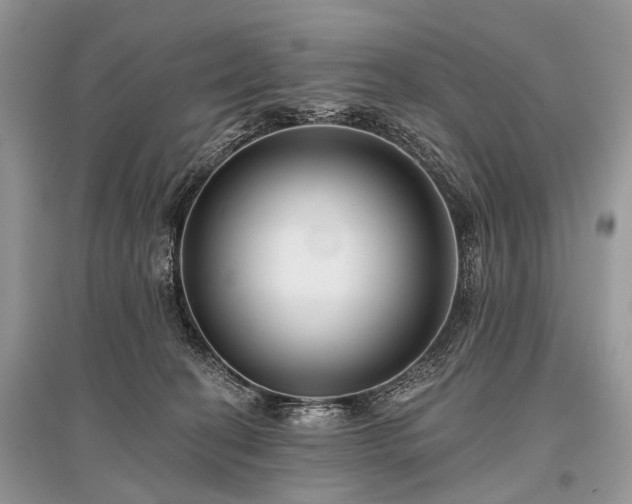 X0000096130274200801251024