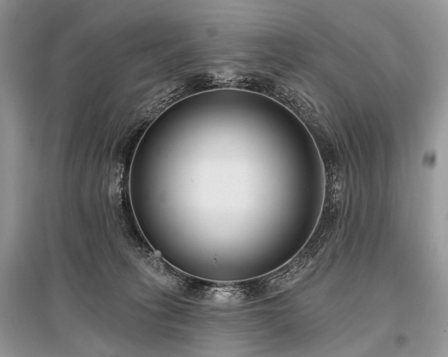 X0000096130275200801251024
