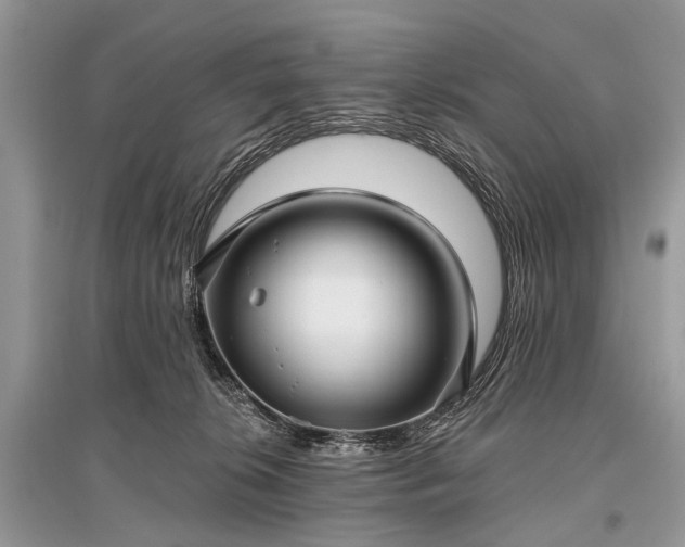 X0000096130276200801251024