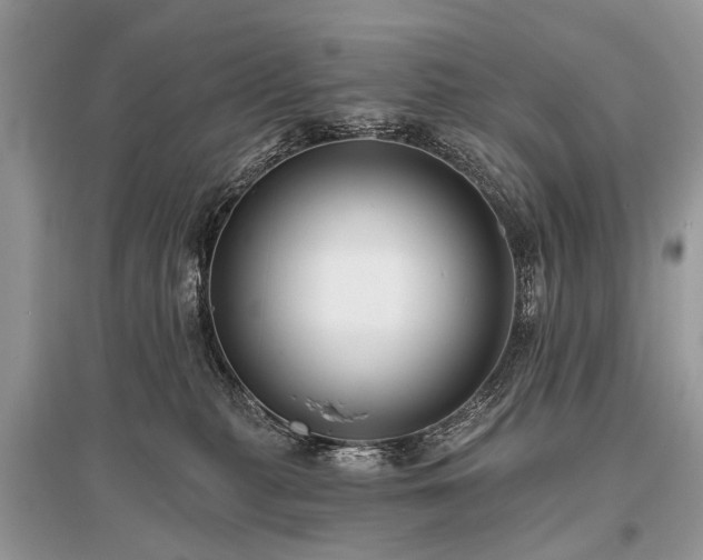 X0000096130279200801251024