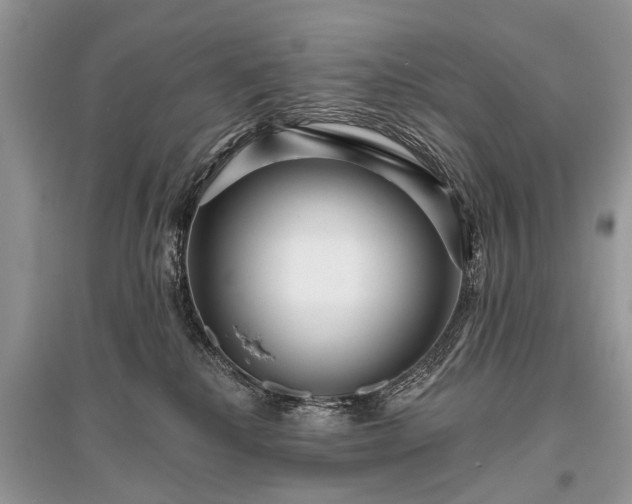 X0000096130280200801251024