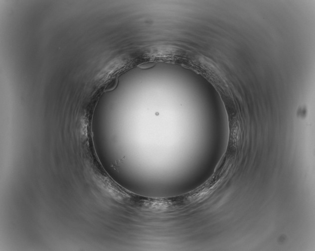 X0000096130282200801251024