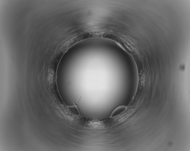 X0000096130283200801251024