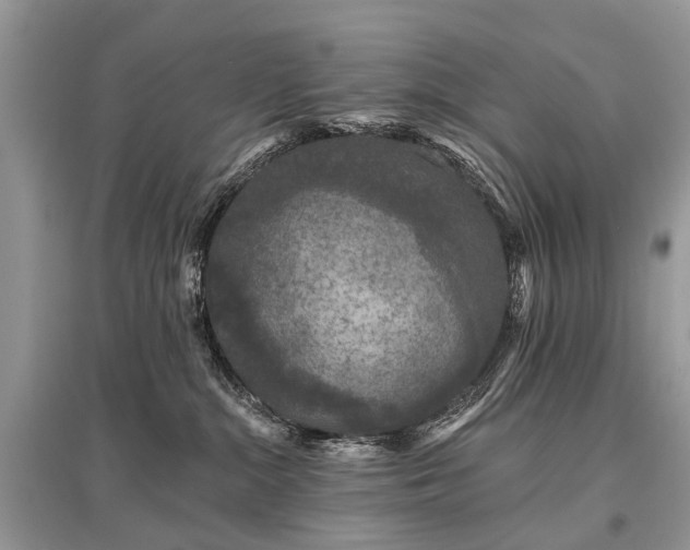 X0000096130284200801251024