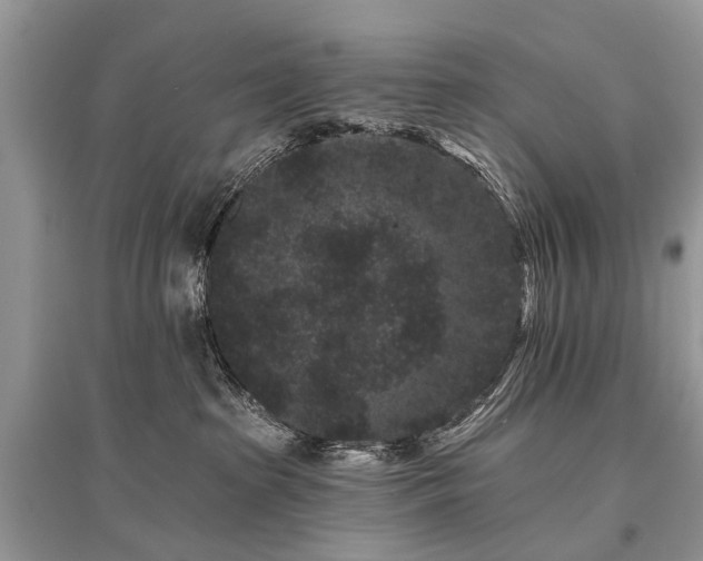 X0000096130285200801251024