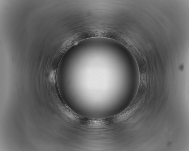 X0000096130286200801251024