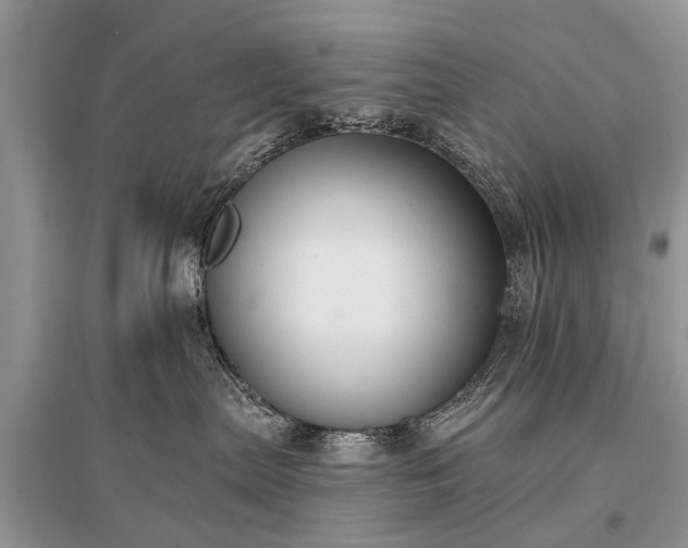 X0000096130287200801251025