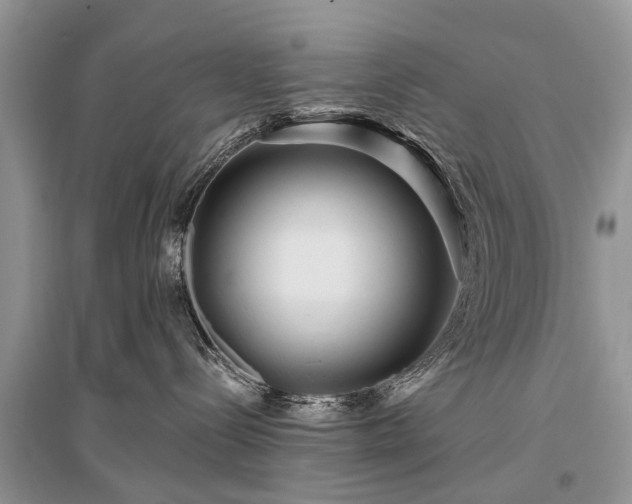 X0000096130288200801251025