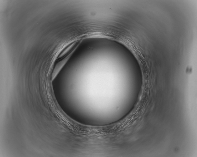 X0000096130289200801251024