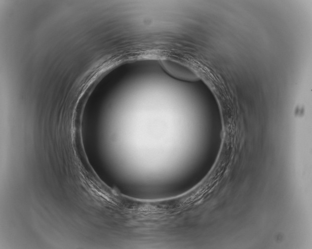 X0000096130290200801251024