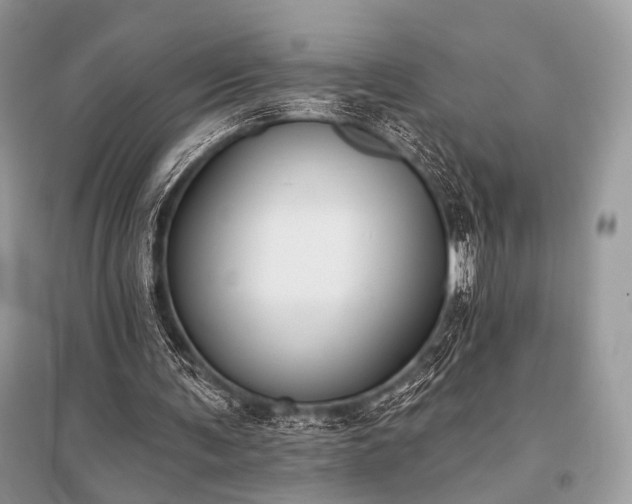 X0000096130291200801251024