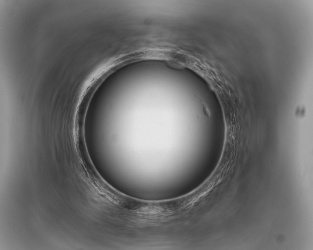 X0000096130294200801251024