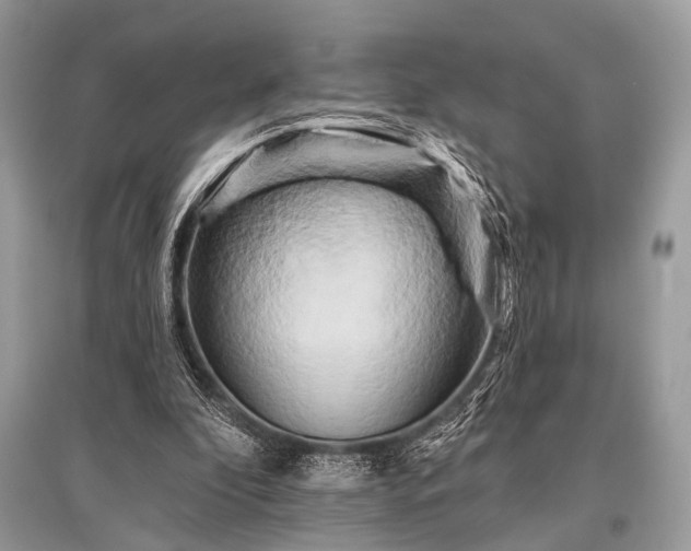 X0000096130296200801251024