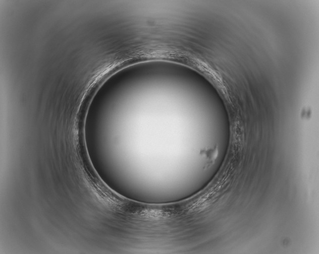 X0000096130298200801251024