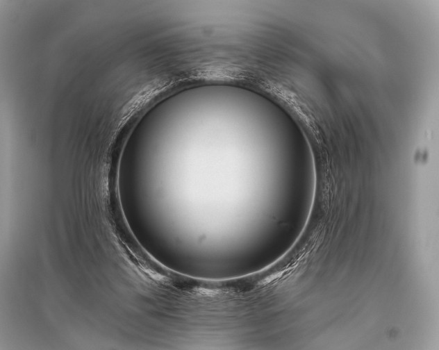 X0000096130299200801251024