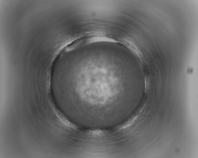 X0000096130301200801251024
