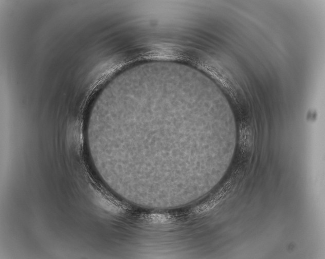 X0000096130302200801251024