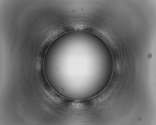 X0000096130311200801251023