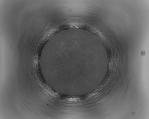 X0000096130314200801251023