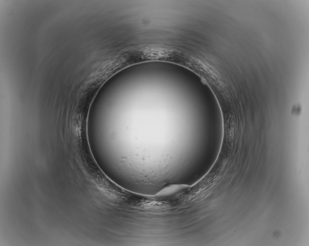 X0000096130315200801251023