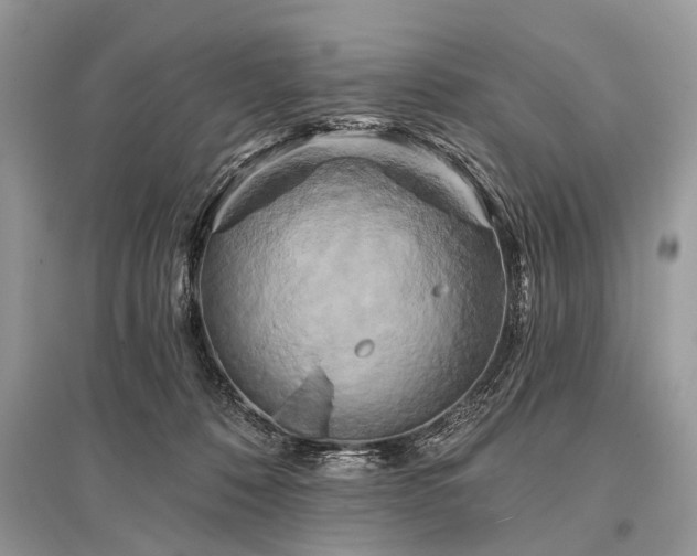 X0000096130320200801251023