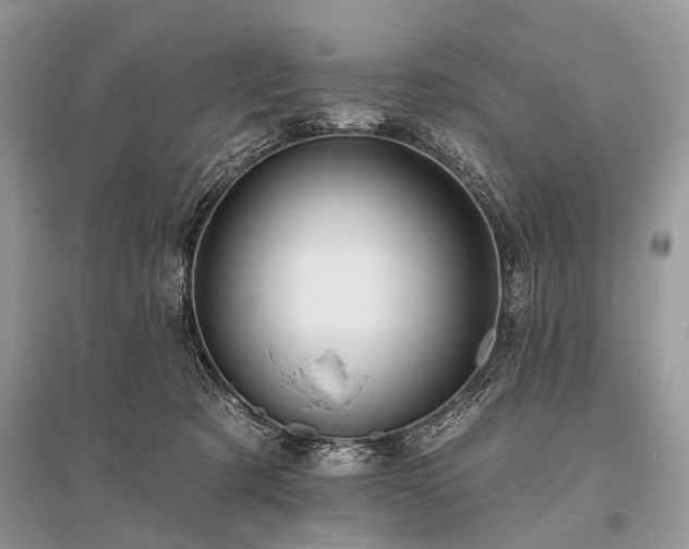 X0000096130321200801251023