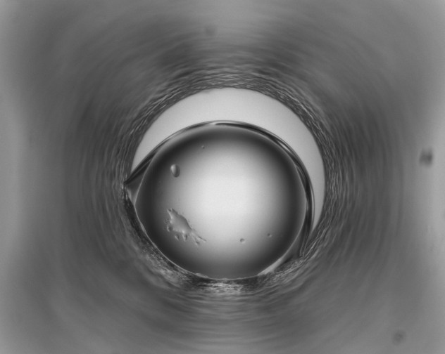 X0000096130328200801251023