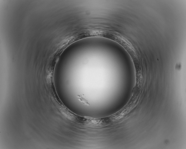 X0000096130329200801251023