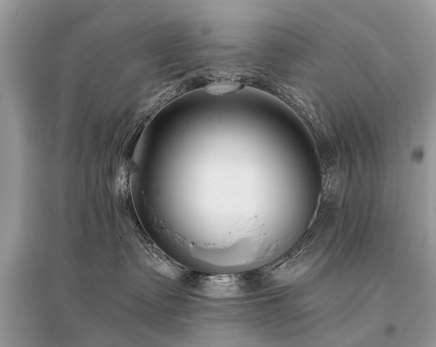 X0000096130335200801251023