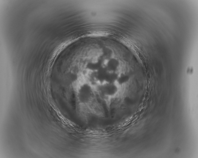 X0000096130337200801251022