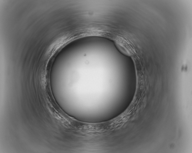X0000096130338200801251022