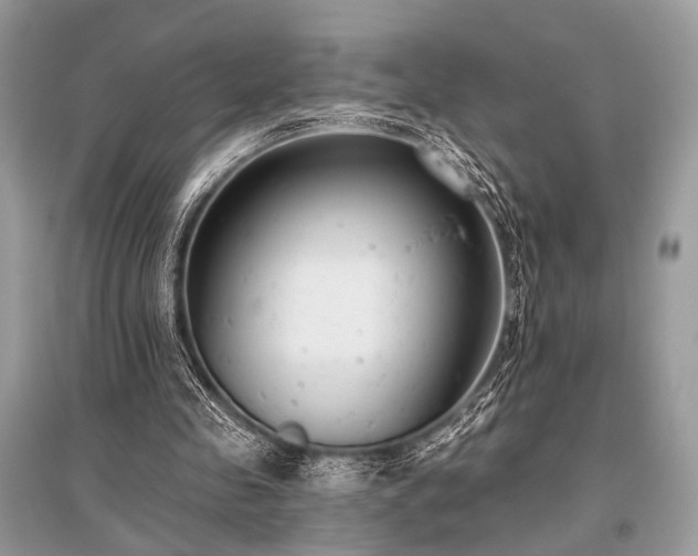 X0000096130341200801251022