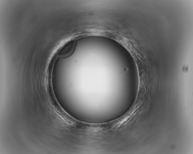 X0000096130342200801251022