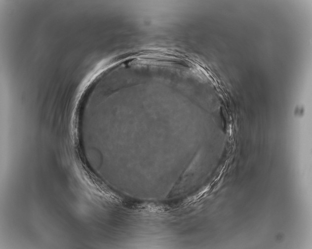X0000096130343200801251022