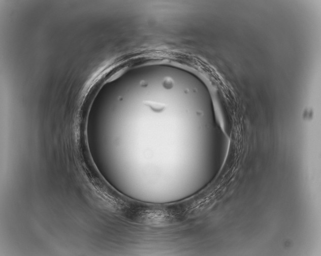 X0000096130344200801251022