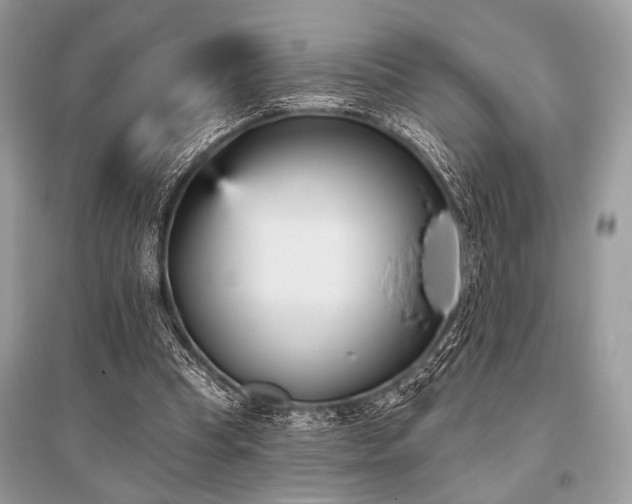 X0000096130345200801251022