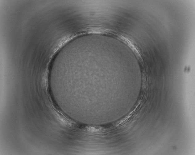 X0000096130346200801251022