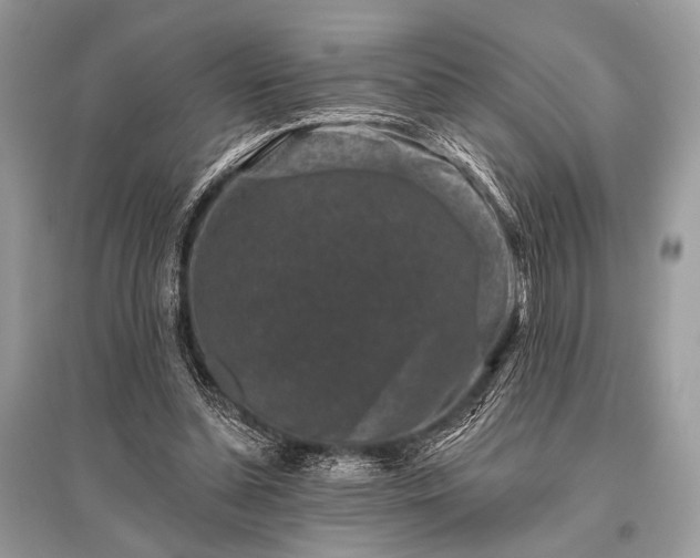 X0000096130348200801251022