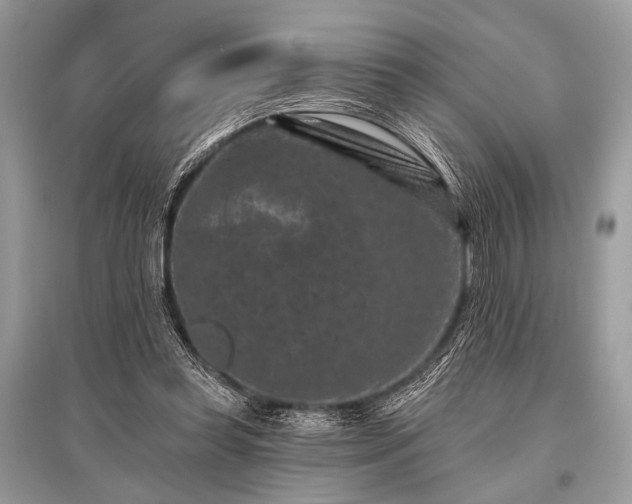 X0000096130349200801251022