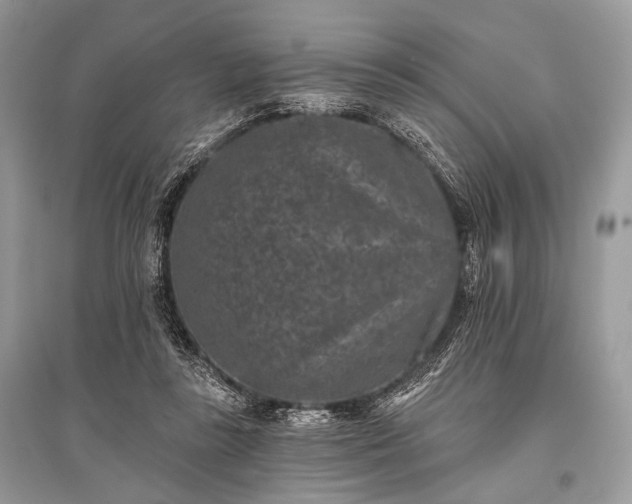 X0000096130355200801251022