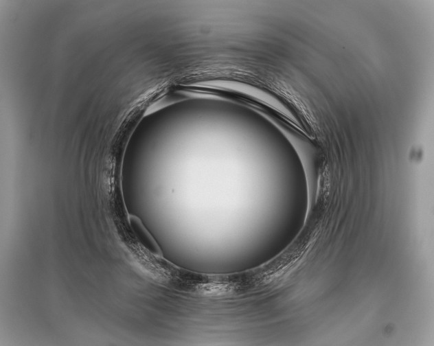 X0000096130356200801251022