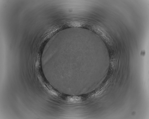 X0000096130359200801251023