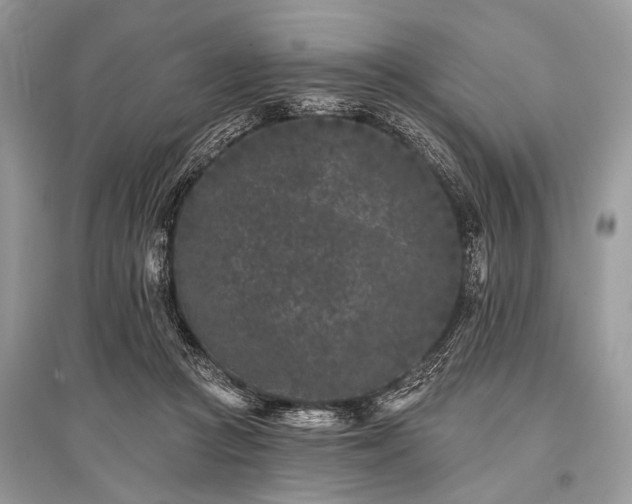 X0000096130361200801251023