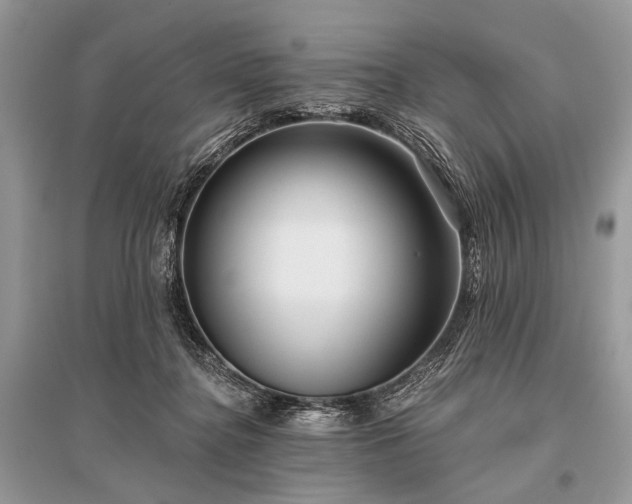 X0000096130364200801251023